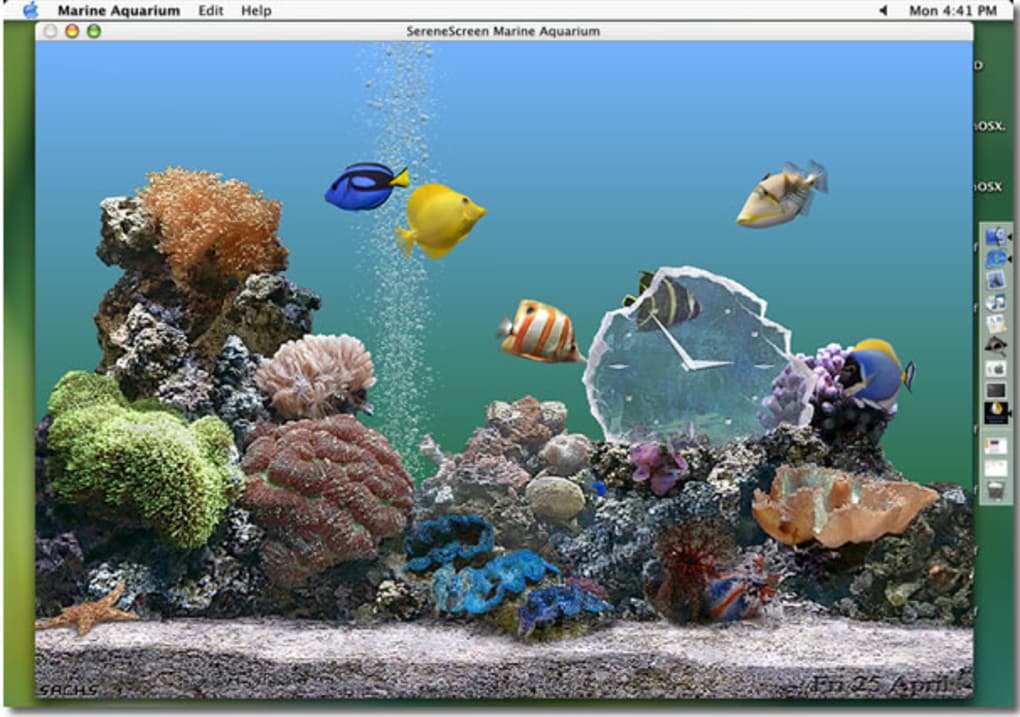 Download Aquarium Screensaver For Mac